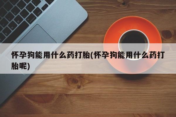 药流药购买怀孕狗能用什么药打胎(怀孕狗能用什么药打胎呢)