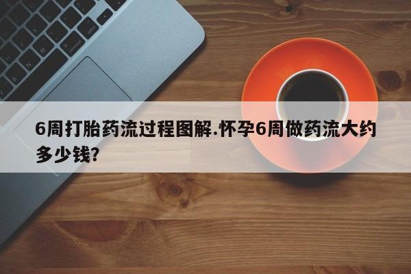 药流药购买6周打胎药流过程图解.怀孕6周做药流大约多少钱？